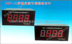 XZY－大屏幕智能可编程液位计