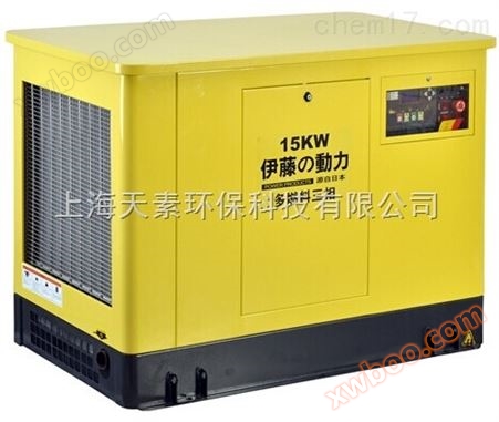 YT15RGF15KW三相电启动汽油发电机