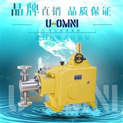 柱塞式計量泵-美國歐姆尼U-OMNI