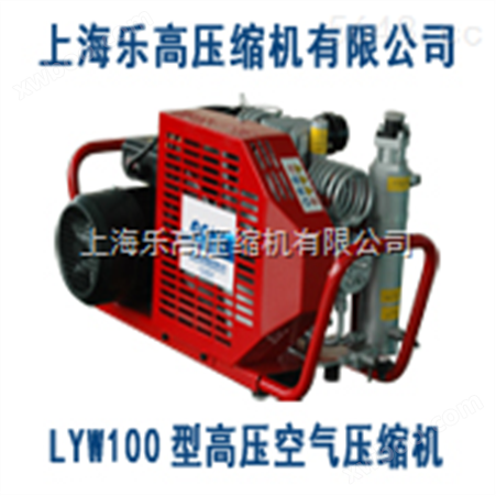 LYX100呼吸高压压缩机专卖
