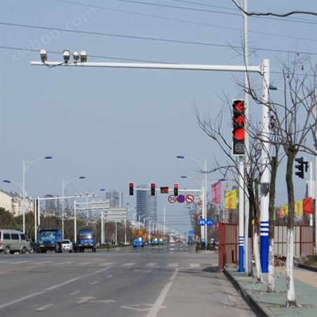 HGJKG-012 定制道路交通标志杆 电子杆 监控杆 6.5米八角监控杆