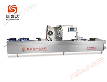 DZR-620T大型智能机械手拉伸包装机