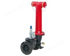 鼎梁地上式消防水泵接合器