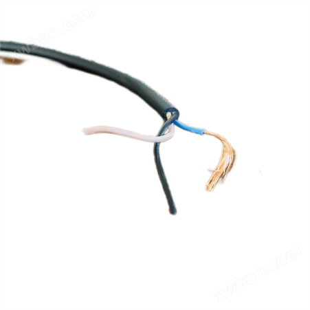 RC-GB-VVRP1 2*0.3补偿电缆