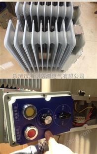 定做防爆电暖器 BDR-2/13价格