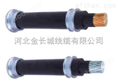 JKYJ0.6/1KV铜芯交联聚乙烯架空电缆