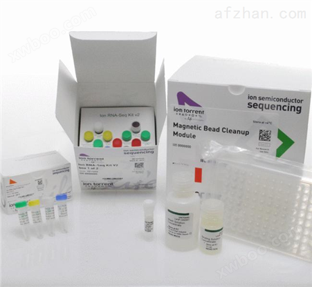 人1,25二羟基*3（1,25 DHVD3）ELISA试剂盒