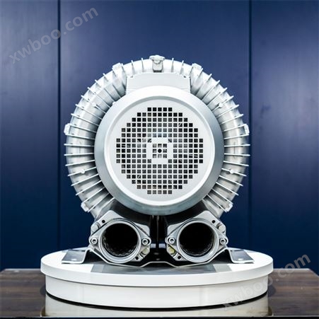 超声波清洗设备配套高压漩涡气泵 鼓风机